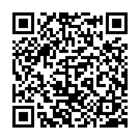 QR code for 390MSS