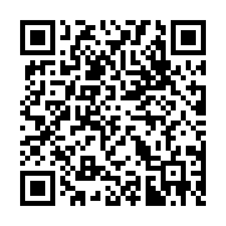 QR code for 390PIG