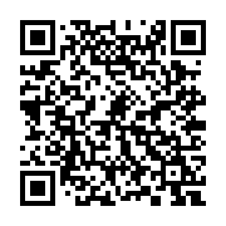 QR code for 390POM
