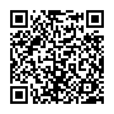QR code for 390ZCO