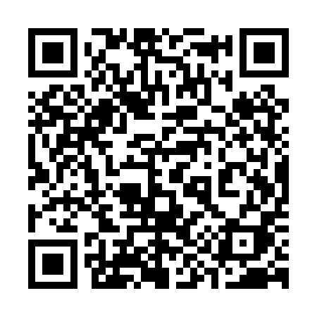 QR code for 391PPI