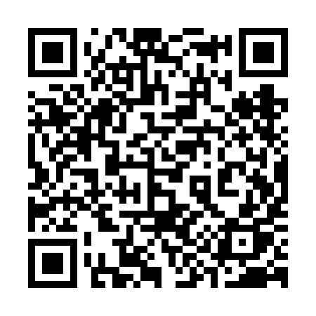 QR code for 391VIP