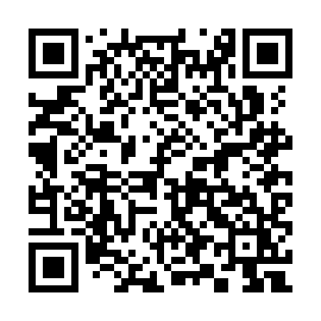 QR code for 392KHZ