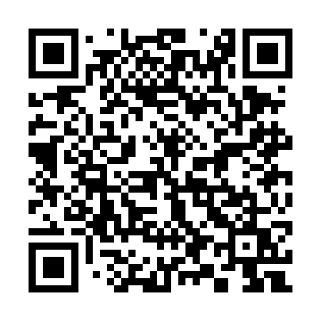 QR code for 393DGU