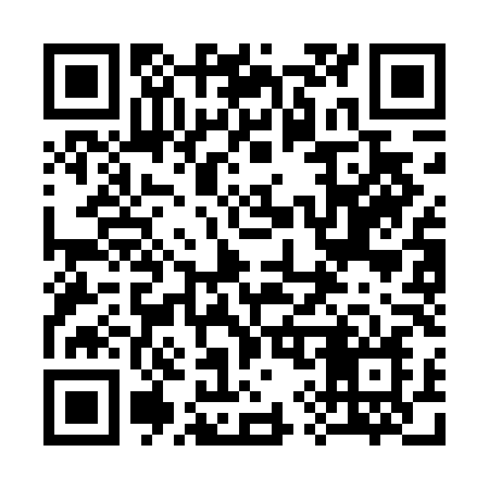 QR code for 393DLN