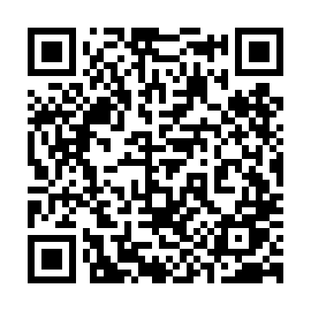 QR code for 393DLU