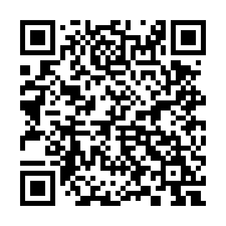 QR code for 393DUM