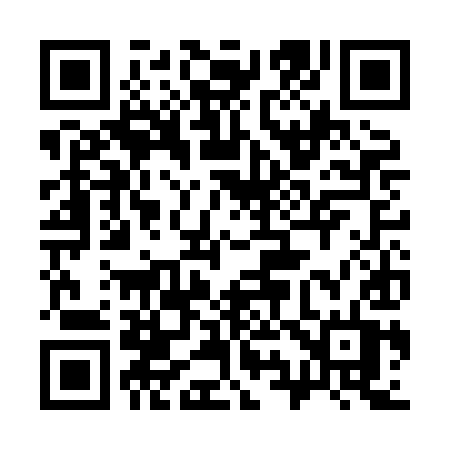 QR code for 393HIT