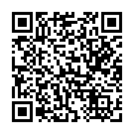 QR code for 393IDS