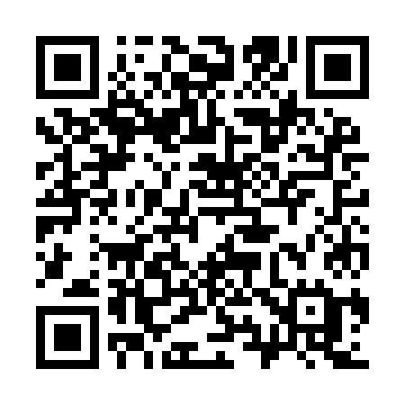 QR code for 393IKE
