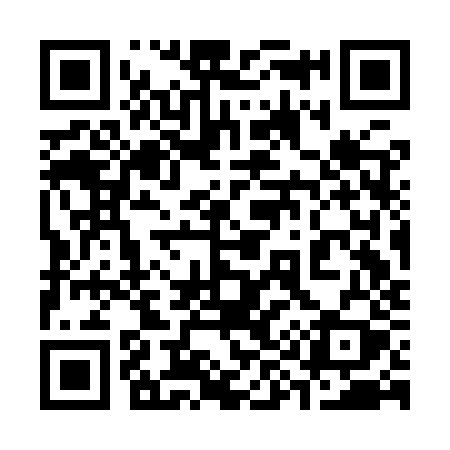 QR code for 393IZY