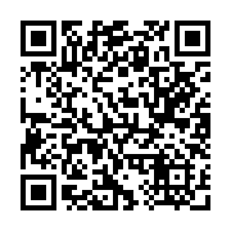 QR code for 393LHI