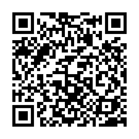 QR code for 393MCI
