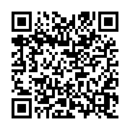 QR code for 393MEV
