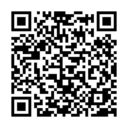 QR code for 393PCA