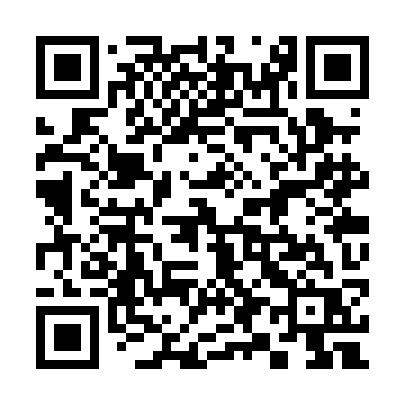 QR code for 393PKR