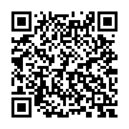 QR code for 393PYC