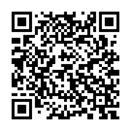 QR code for 393QLZ