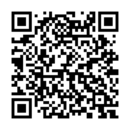 QR code for 393RAF