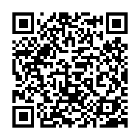 QR code for 393TSI