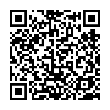 QR code for 393VGA