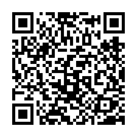 QR code for 393VOY