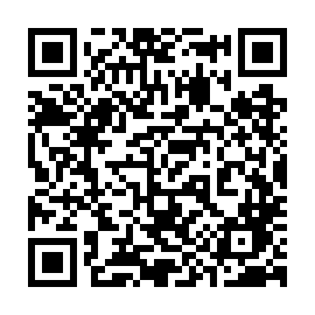 QR code for 393WLD