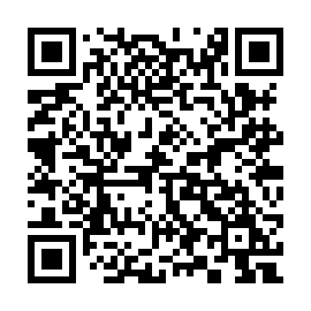 QR code for 393XBM