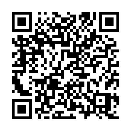 QR code for 393XFS