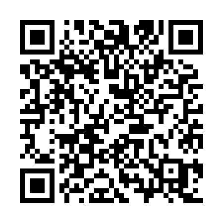 QR code for 393XKA
