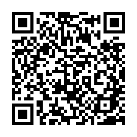 QR code for 393ZLA