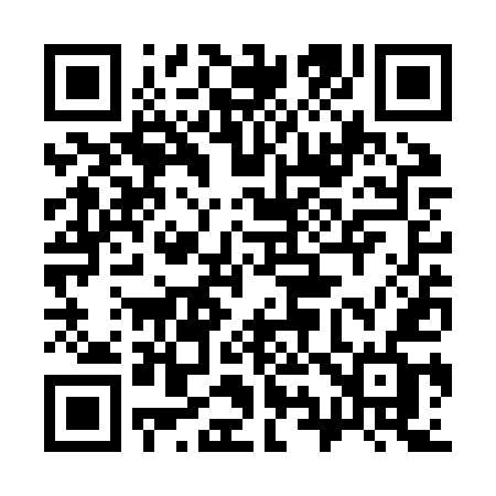 QR code for 393ZUF