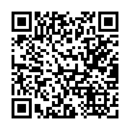 QR code for 394RRI