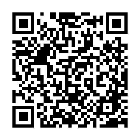 QR code for 394SDG