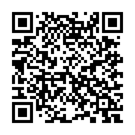 QR code for 395DOF