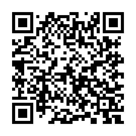 QR code for 395HNS