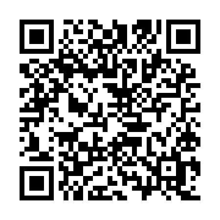 QR code for 395IIL