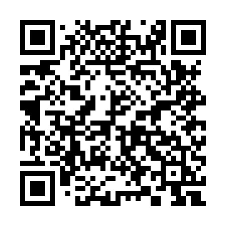QR code for 397HUJ