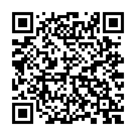 QR code for 397PCE