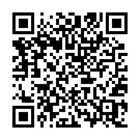 QR code for 397RUB