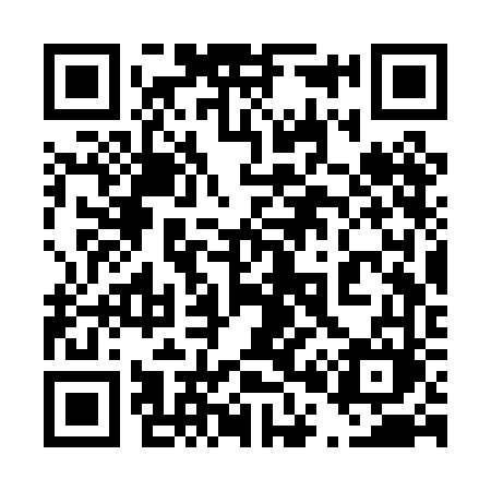 QR code for 403PFM
