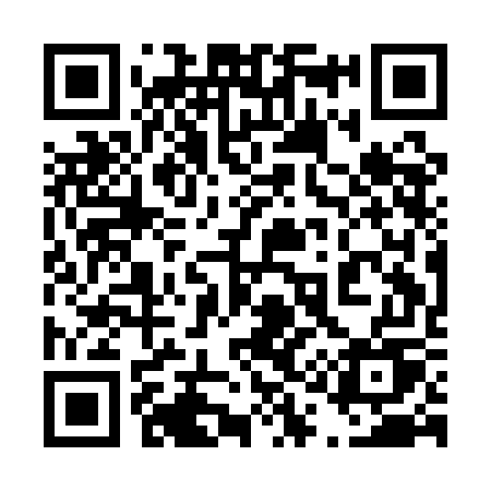 QR code for 411AGU
