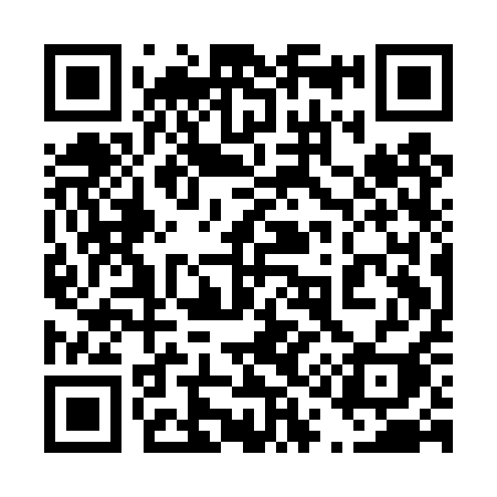 QR code for 411DQI