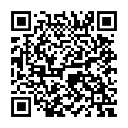 QR code for 411DZO