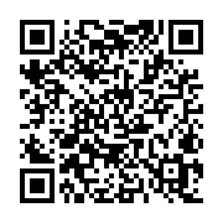 QR code for 411EMM