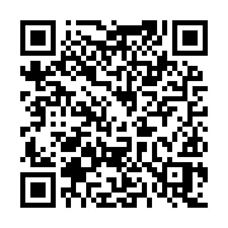 QR code for 411IYR