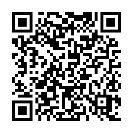 QR code for 411IYT