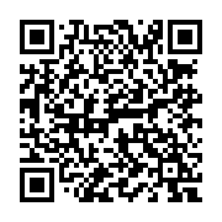 QR code for 411LFM
