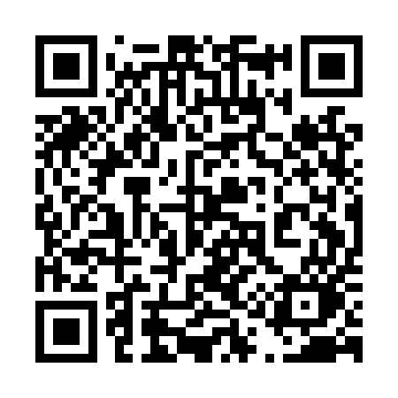 QR code for 411LUO