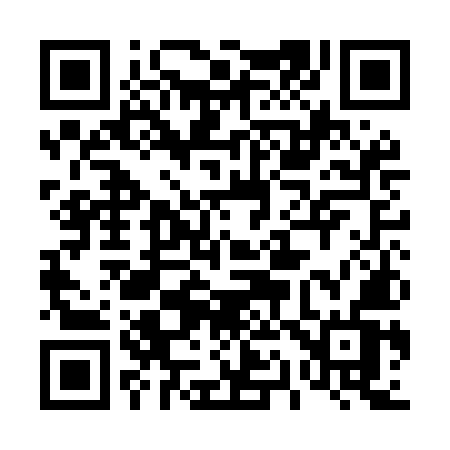 QR code for 411MMV